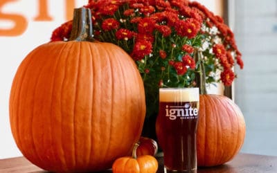 ‘Tis the Season for Our Favorite Seasonals