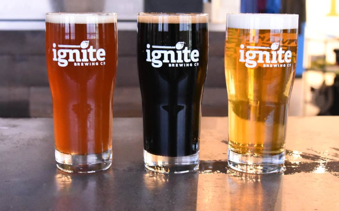 What Influences Beer Color?