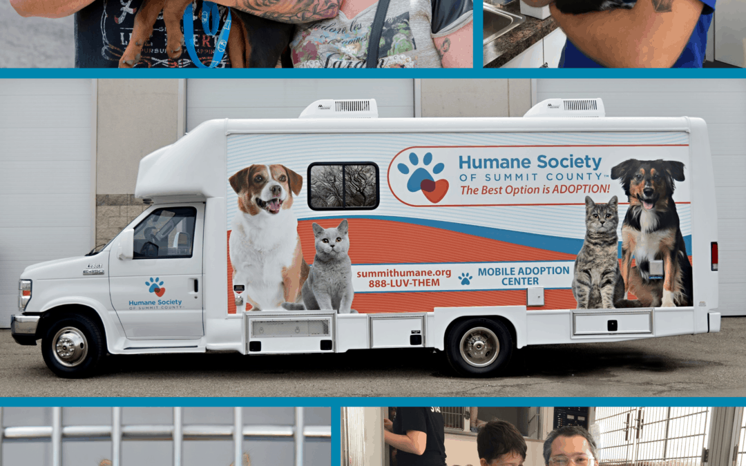 Making Beer Make A Difference Spotlight: The Humane Society of Summit County