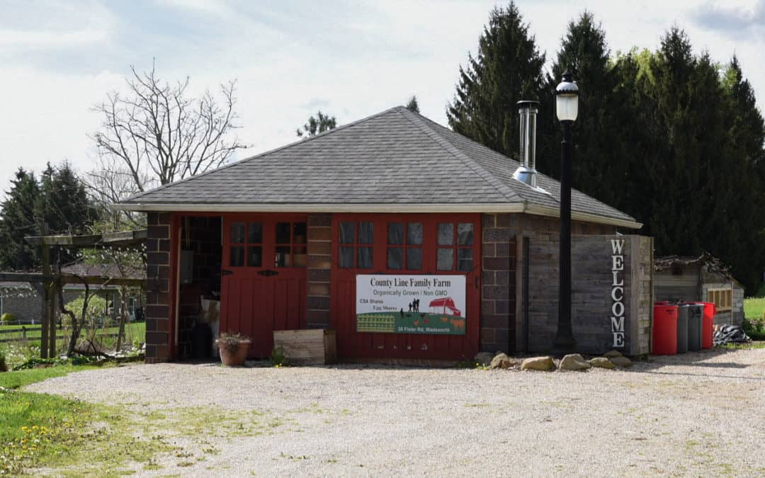 Local Partner Spotlight: County Line Family Farm