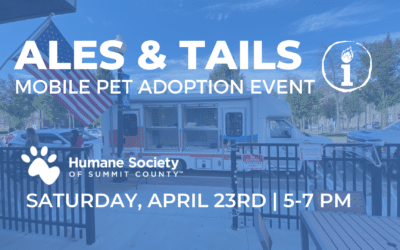 Making Beer Make A Difference Feature – The Humane Society of Summit County